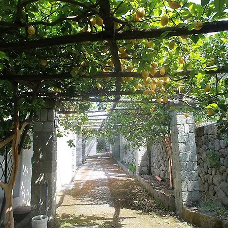 Hotel Agriturismo Il Vitigno Forio di Ischia